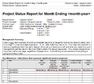 Monthly project status report template