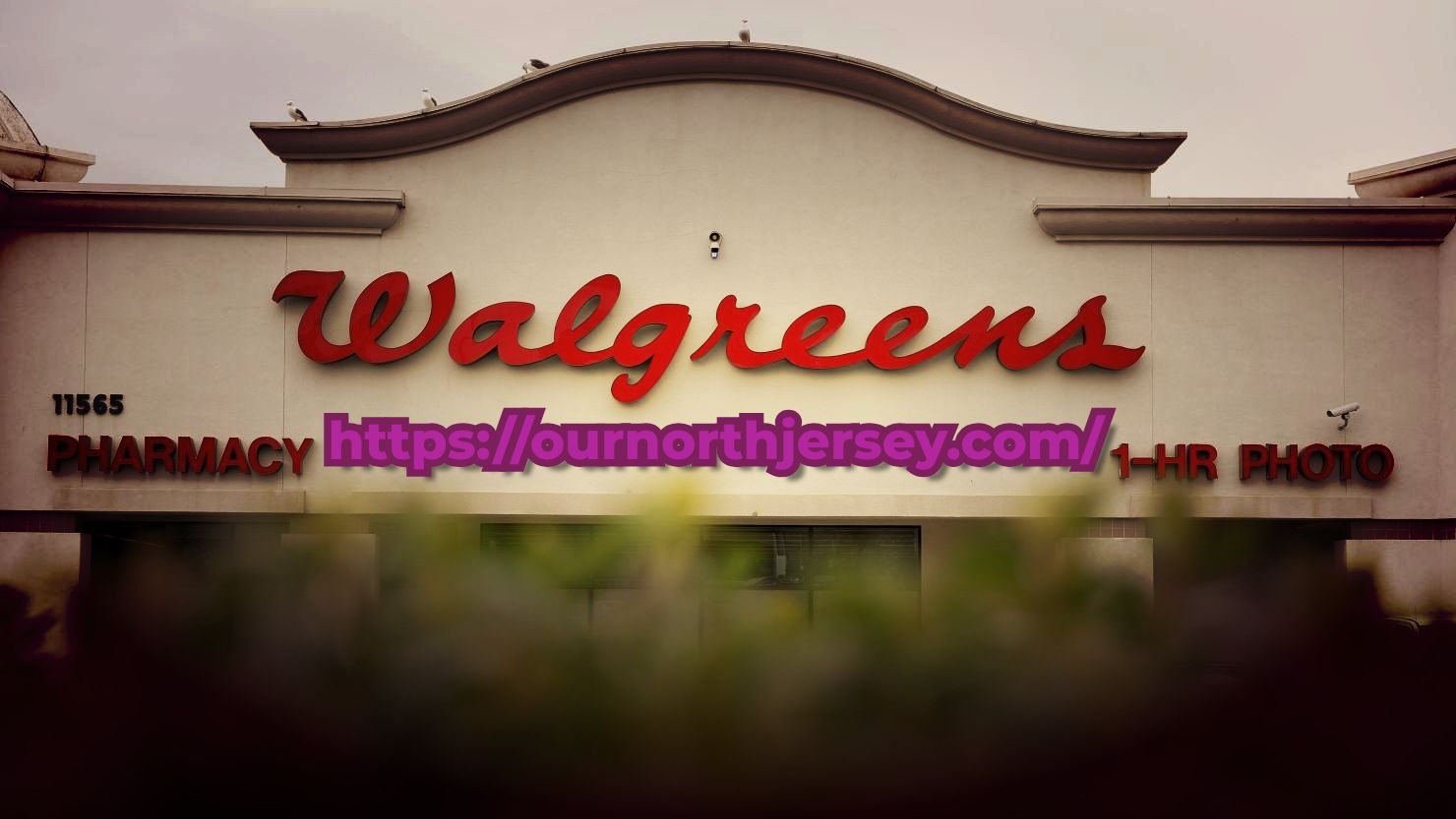 walgreens pharmacy hours