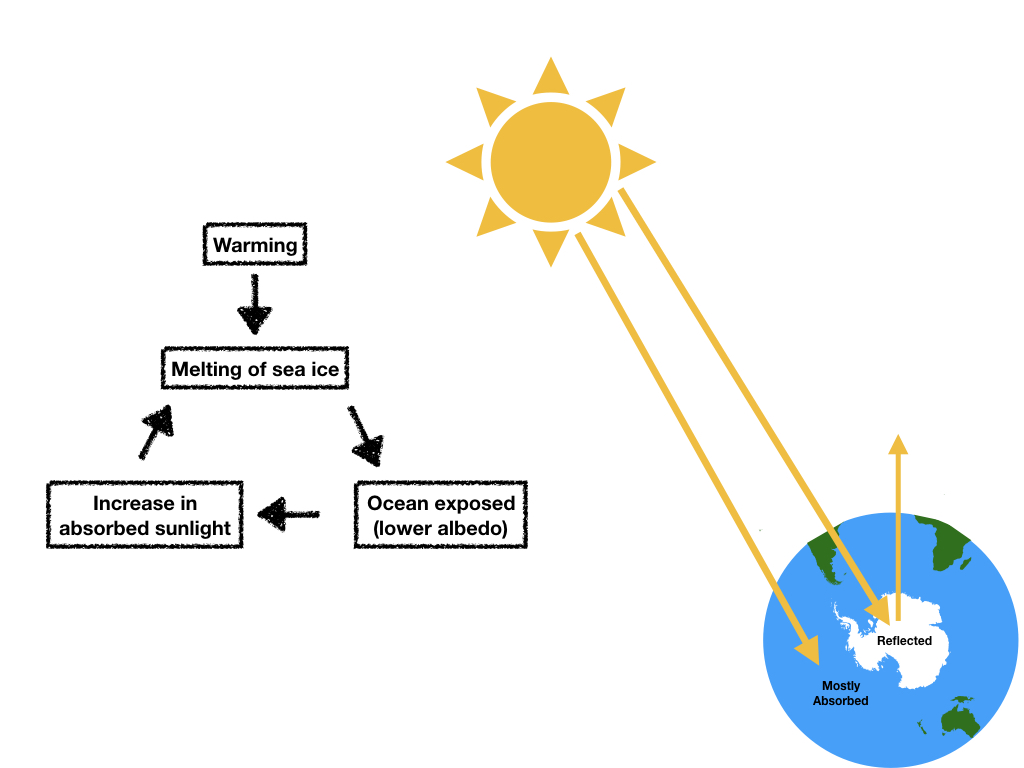 Climate Change เปลี่ยนแปลงสภาพอากาศ Carbonwize คาร์บอนไวซ์