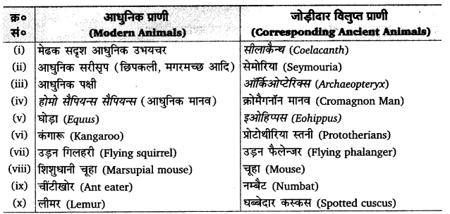 UP Board Solutions for Class 12 Biology Chapter 7 Evolution Q.6