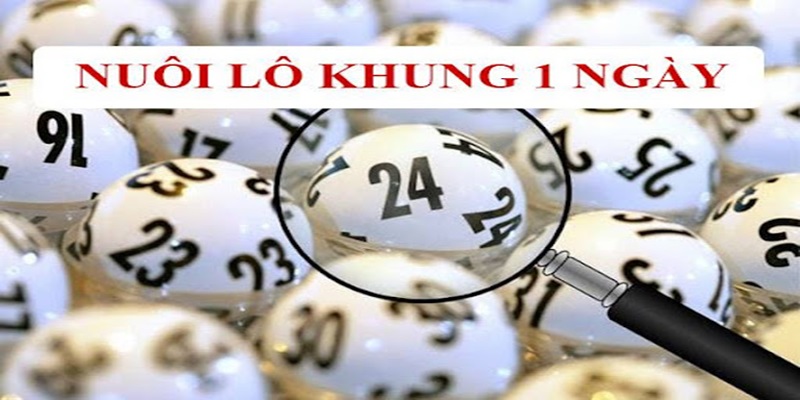 Nuôi lô khung 1 ngày mang lại hiệu quả chơi lô đề uy tín