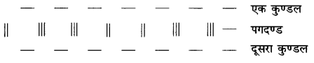 UP Board Solutions for Class 12 Biology Chapter 6 Molecular Basis of Inheritance 3Q.1.3