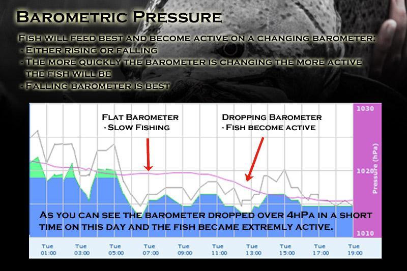 What is the Best Barometric Pressure for Fishing?: Reel Secrets Revealed