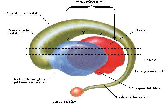 Diagrama, Esquemático

Descrição gerada automaticamente