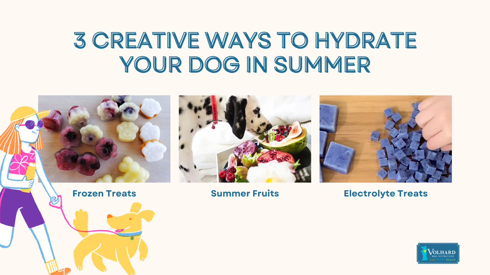 Creative ways hydrate dog summer