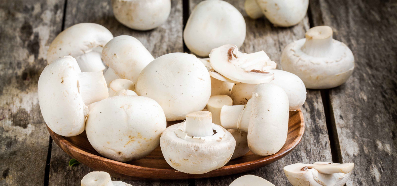 How do White Button Mushrooms grow Mushroo