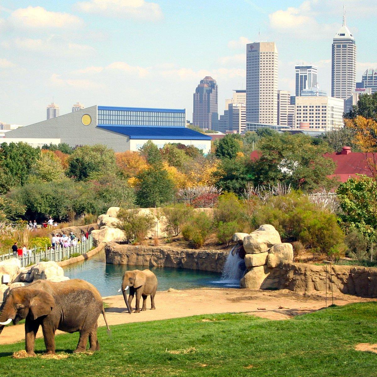 Indianapolis Zoo - All You Need to Know BEFORE You Go (2024) - Tripadvisor