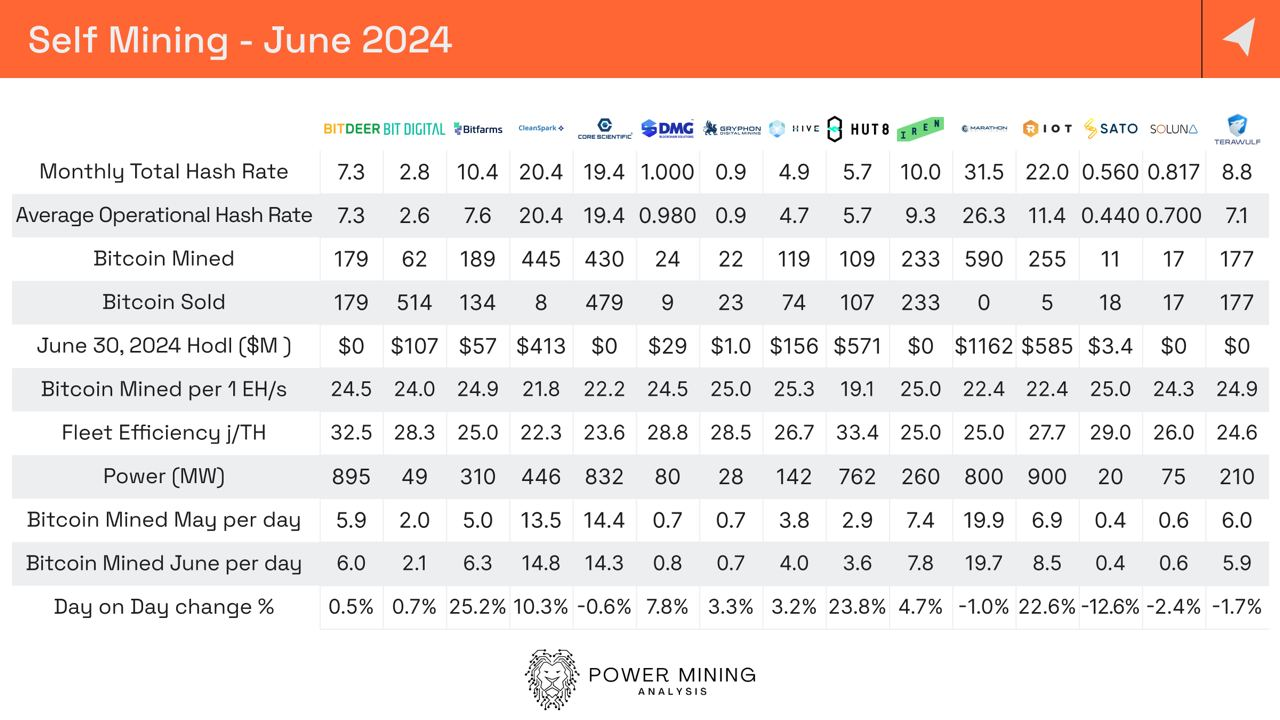 Bitcoin Mining Industry Report: 
June 2024 - Bitfarms names new CEO and Monthly Operational Updates