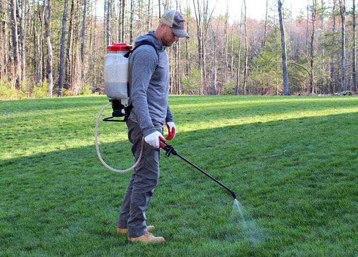 Spraying Herbicide on Lawn