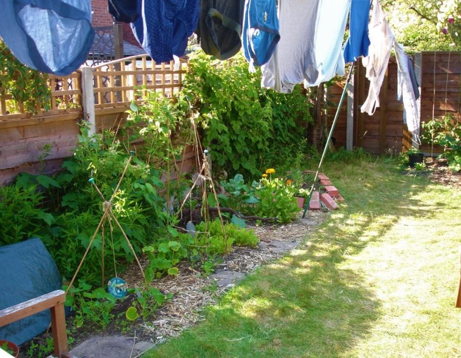 Clothes out in a garden

Description automatically generated