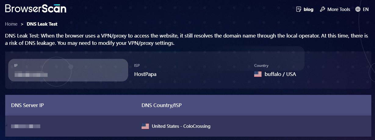 BrowserScan DNS