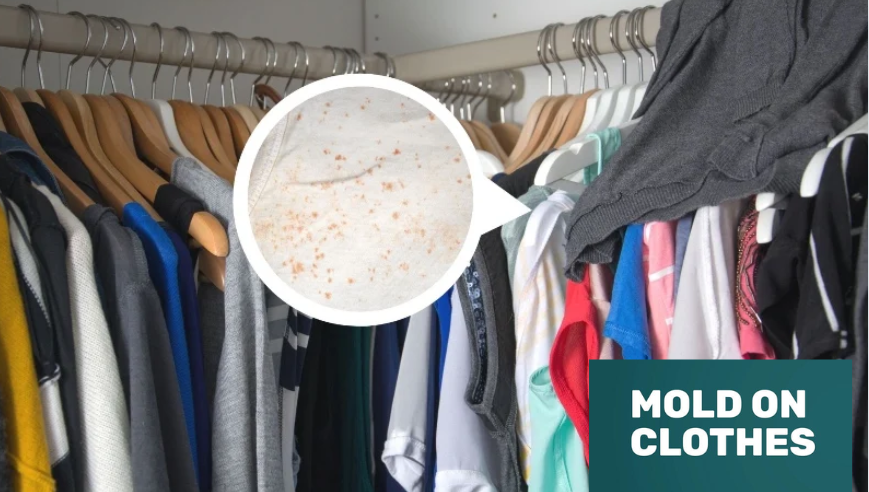 mold on clothes