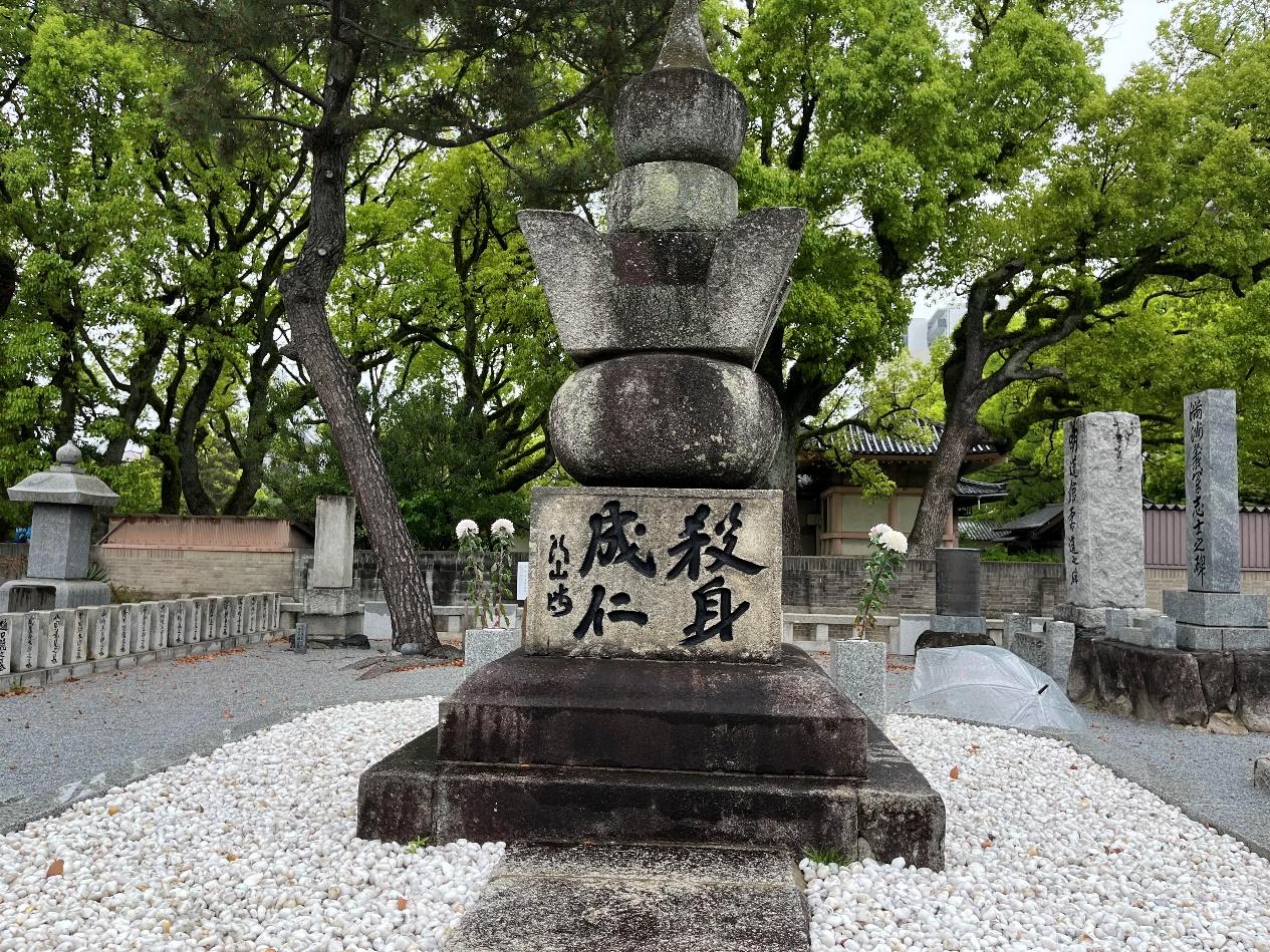 九州——踏着孙中山先生的足迹/陈维健