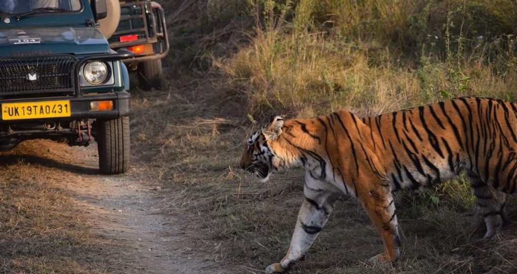 Jim Corbett National Park, Uttarakhand