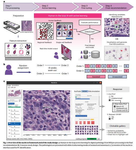 Stanford Researchers Launch Nuclei.io: Revolutionizing Artificial Intelligence AI and Clinician Collaboration for Enhanced Pathology Datasets and Models