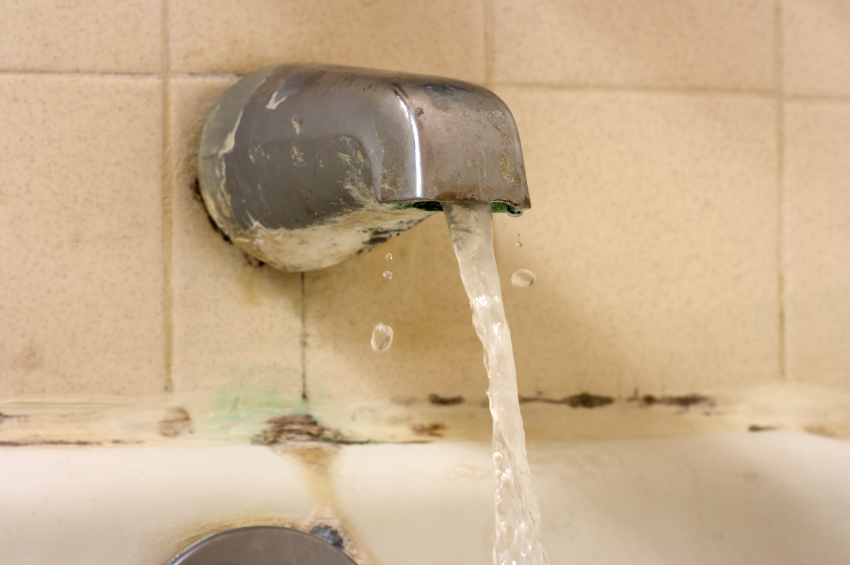 bathroom mold