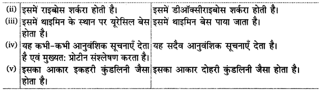 UP Board Solutions for Class 12 Biology Chapter 11 Biotechnology Principles and Processes Q.12.3