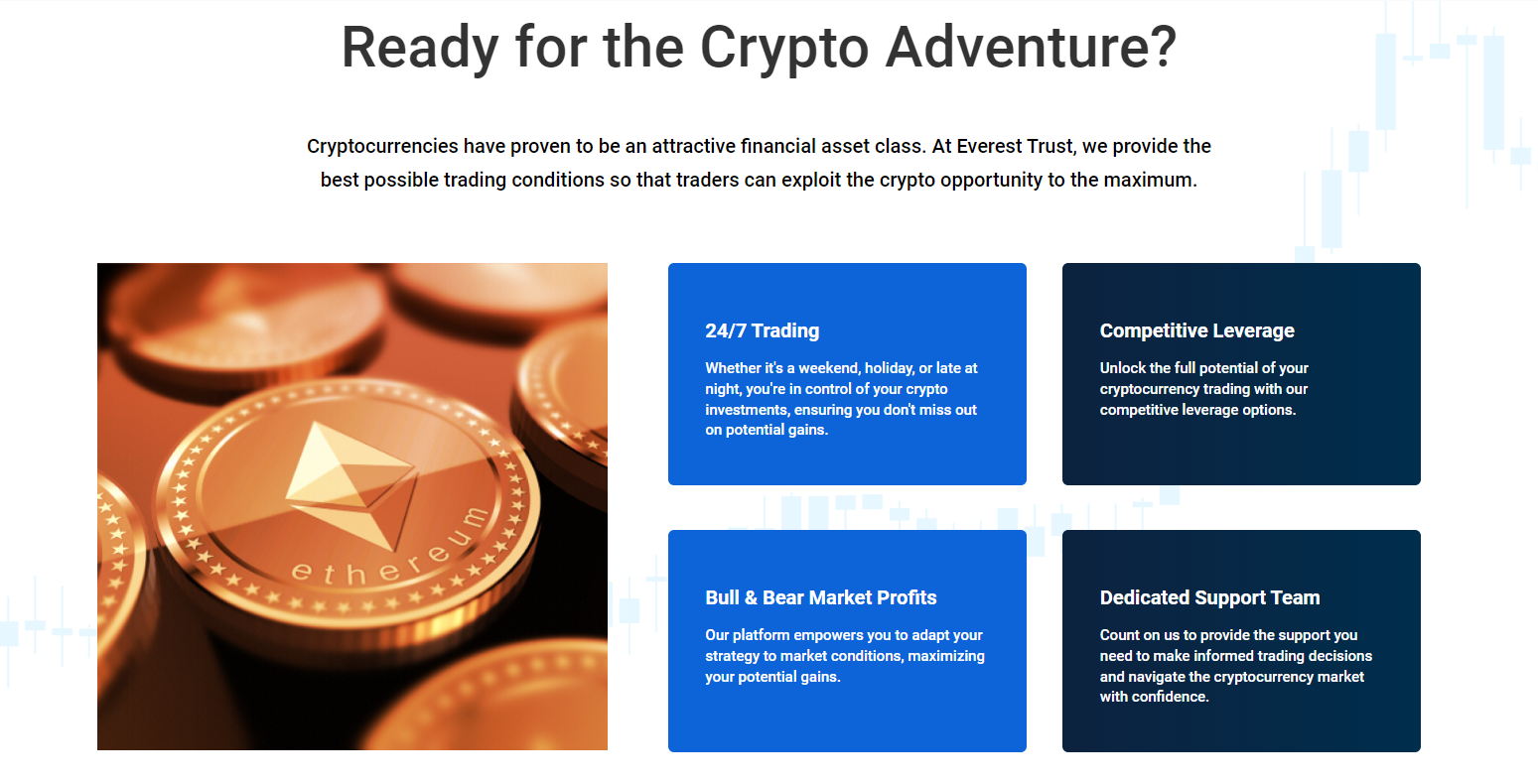 Everest Trust assets