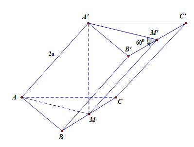 <p> Cho khối lăng trụ (ABC.A'B'C') có đáy (ABC) là tam giác vuông tại (A),(A'A = A'B = A'C), (A'A = 2a). Mặt bên (BCC'B') tạo với mặt đáy một góc bằng ({60^0}). Tính thể tích của khối lăng trụ (ABC.A'B'C').</p> 1