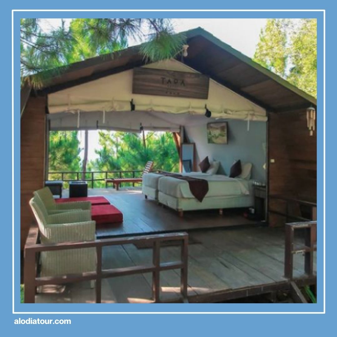 Tempat Camping Jogja