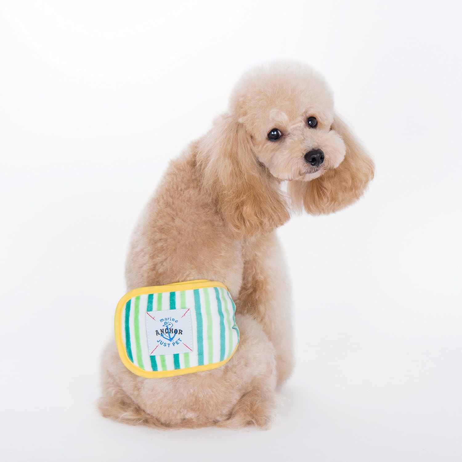 Alfie Pet - Gaki Belly Band