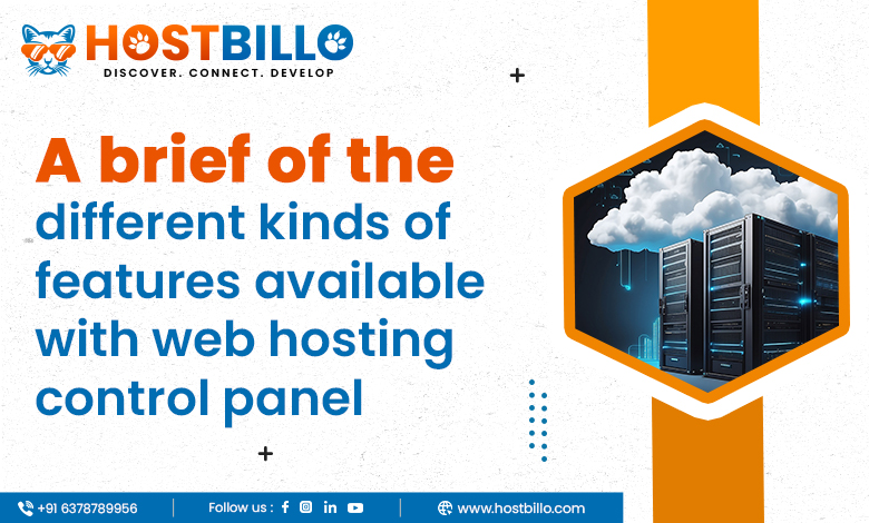 A Brief Overview of the Different kinds of Features Available with Web Hosting Control Panel