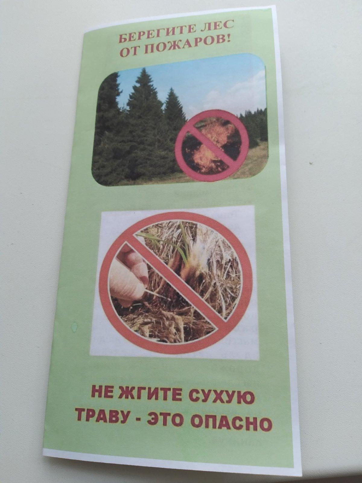 C:\Users\User\Desktop\для аллы\статья для аллы\20240619_142333.jpg