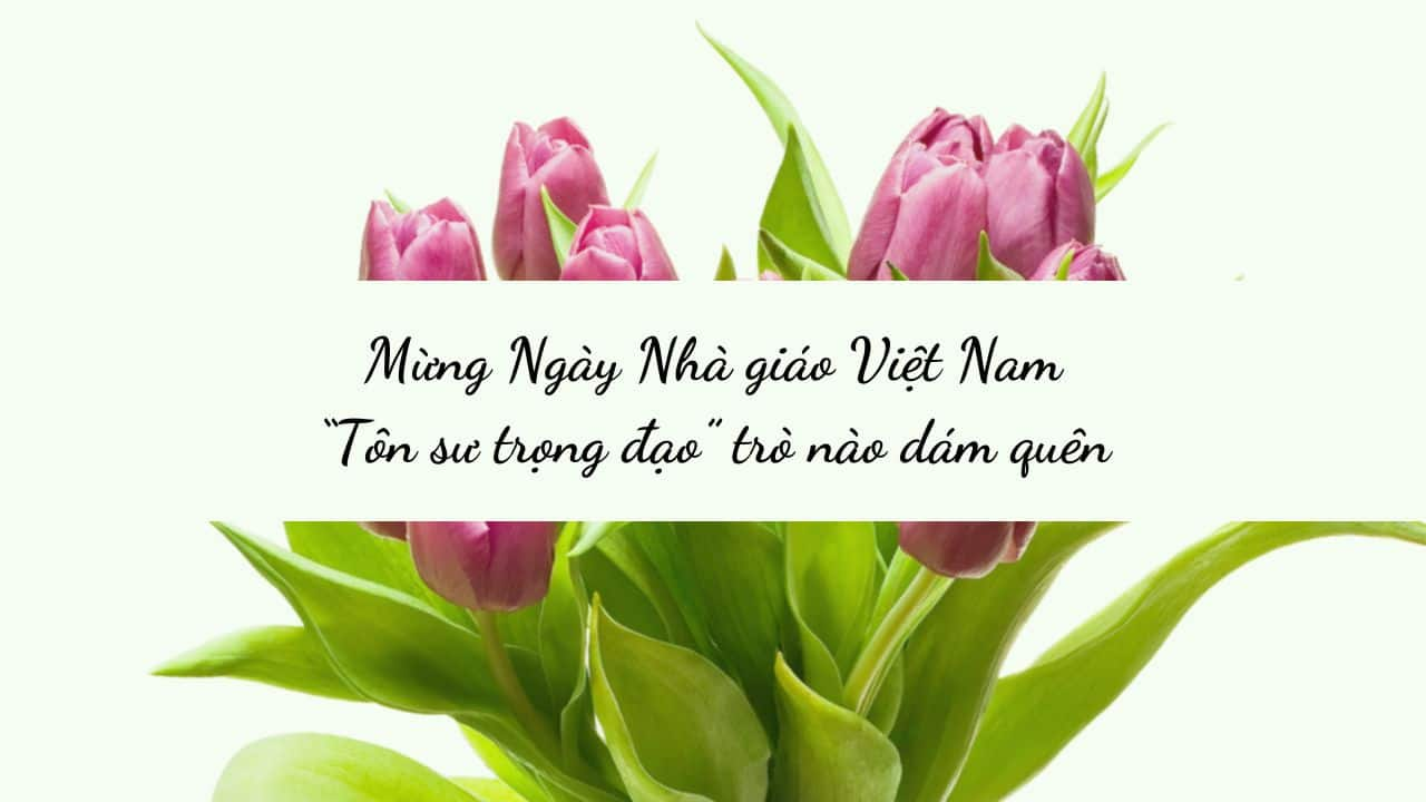 Nhung-bai-tho-hay-ve-thay-co-nhan-ngay-nha-giao-Viet-Nam-20.11