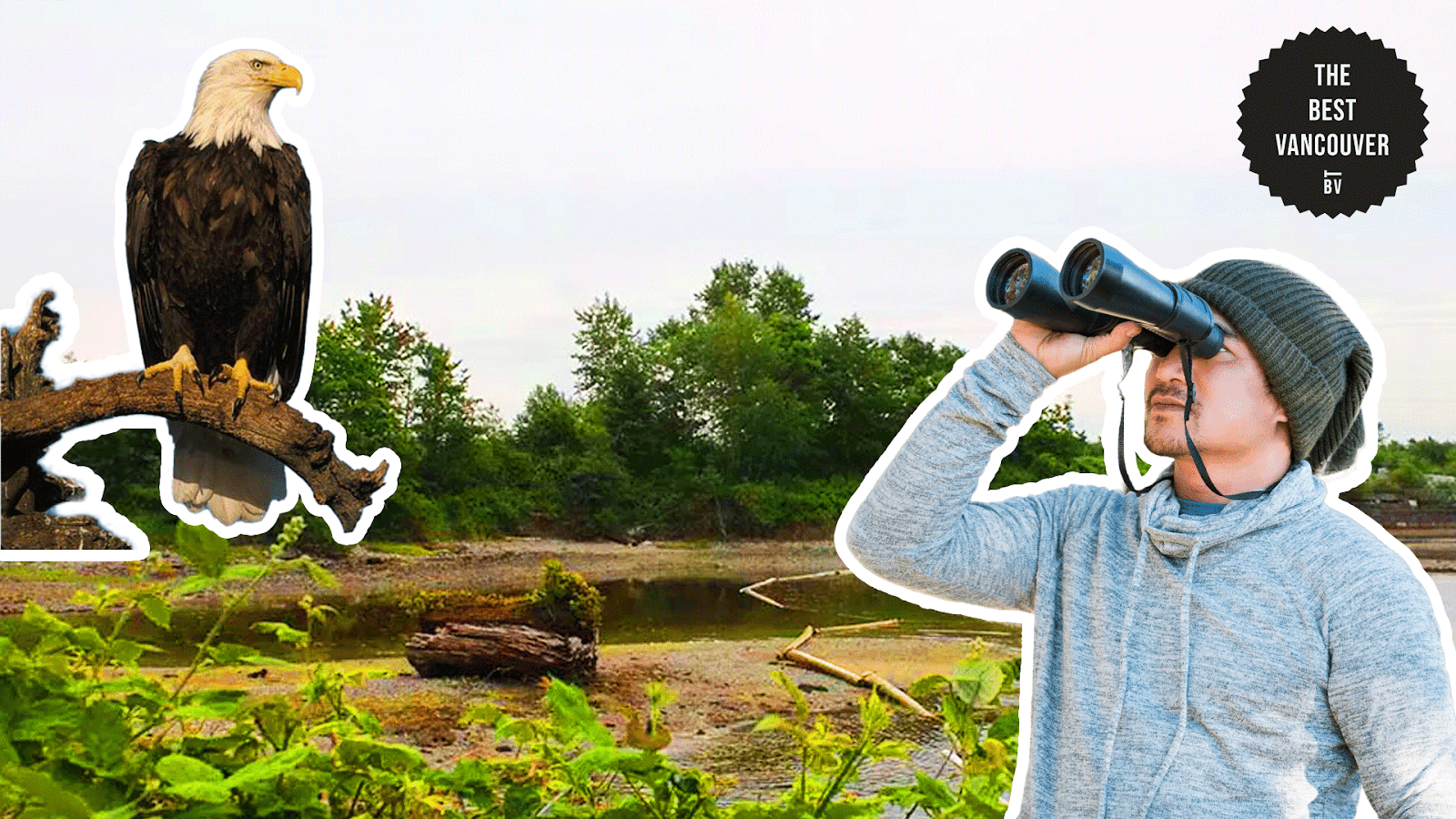 Birdwatching Hotspots