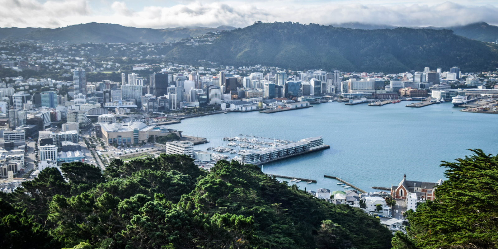 An aerial view of Wellington, New Zealand, showcasing its beautiful harbor and surrounding cityscape. Modern buildings and urban structures line the waterfront, while lush green hills and mountains form a scenic backdrop. The marina is filled with boats, and the overall scene captures the harmonious blend of nature and urban life in Wellington.