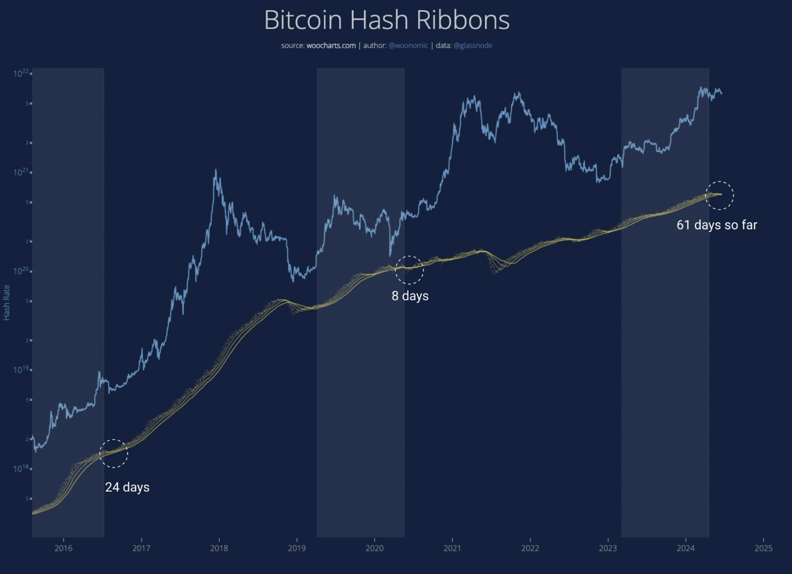 ビットコイン ハッシュ レート