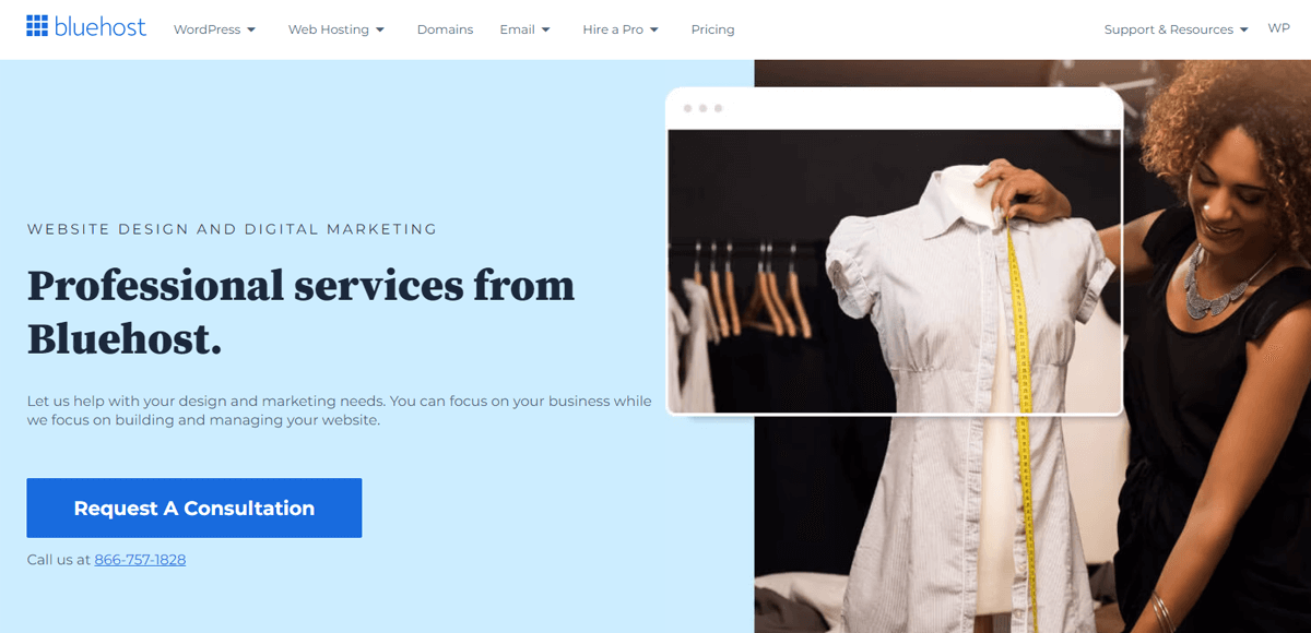 Bluehost Professional Services
