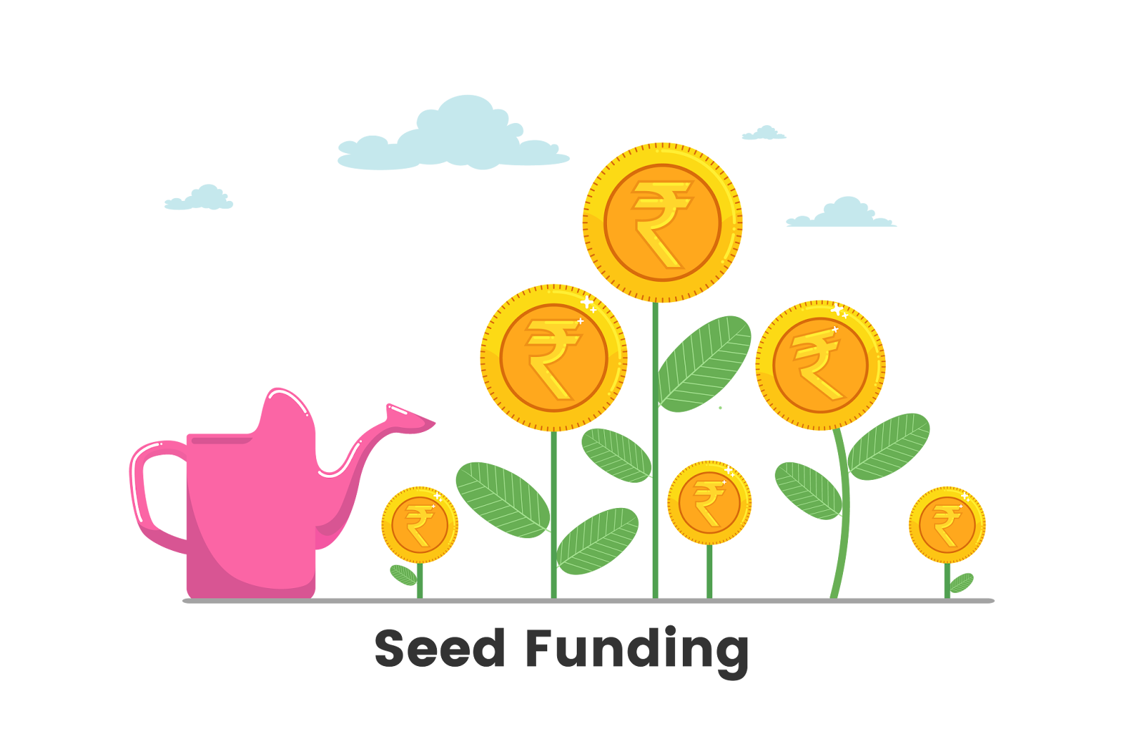 Seed Funding