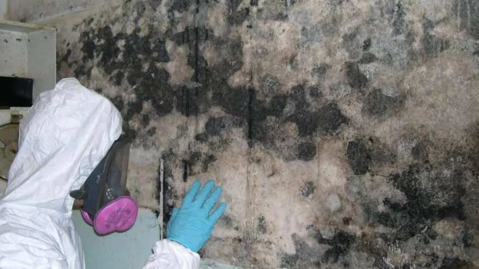 how long does it take for black mold to kill you