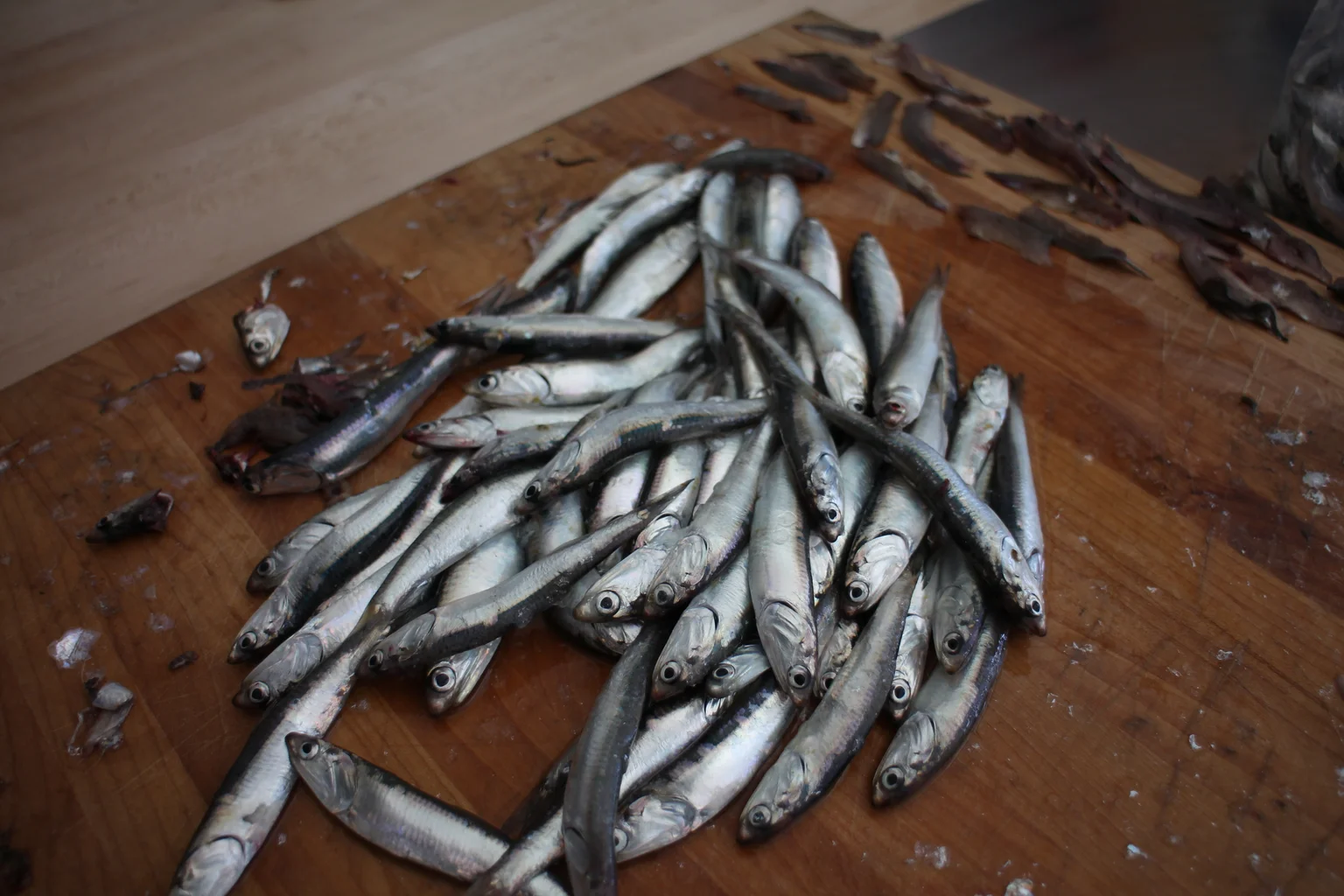 How Anchovies Are Typically Preserved