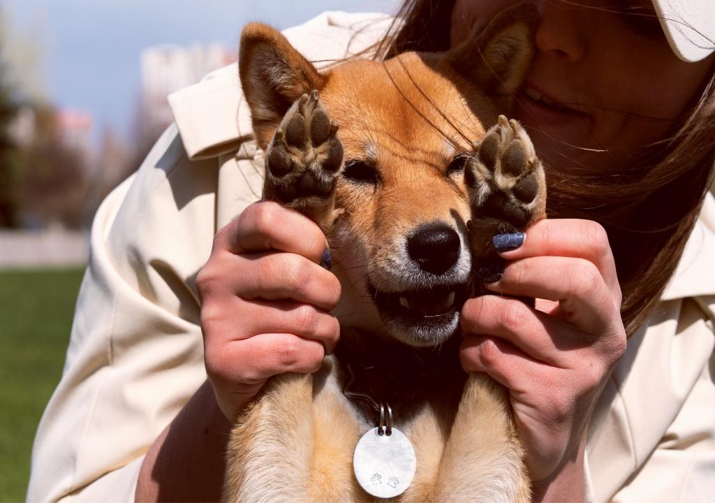 front-view-smiley-woman-holding-cute-dog_副本