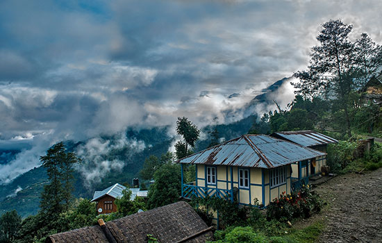 darjeeling tourist places - Rimbik
