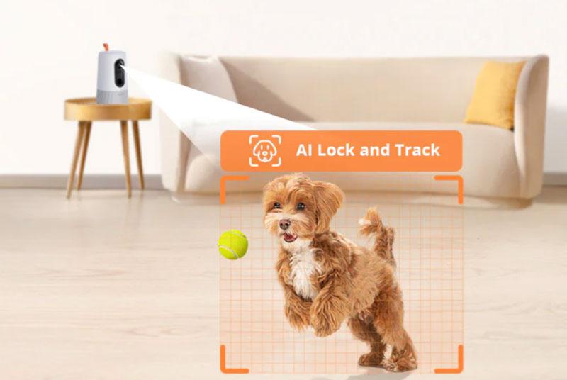 pet-camera