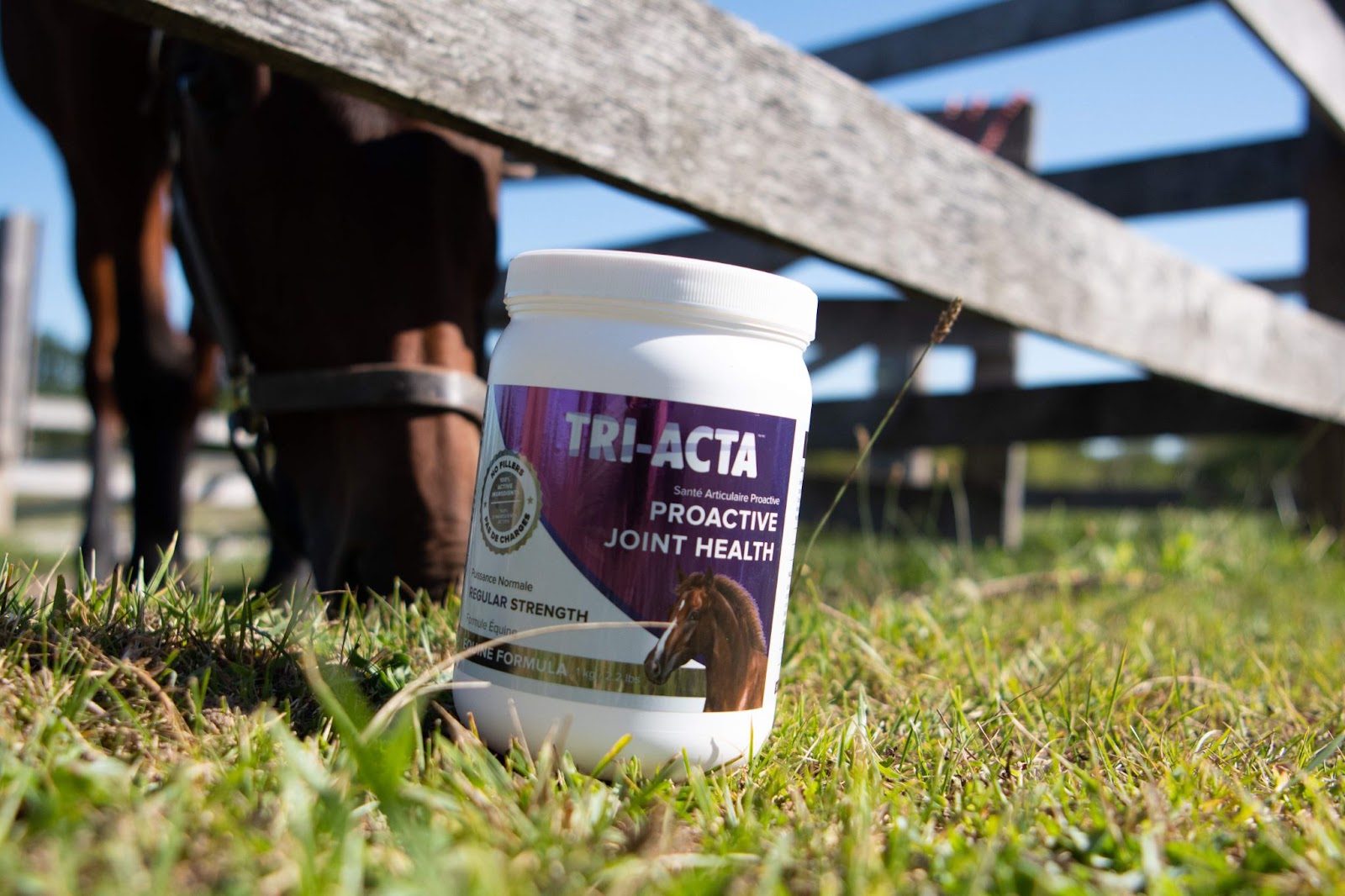 triacta equine joint supplement