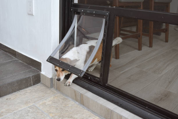 god trying to get out door -dog door for sliding glass door