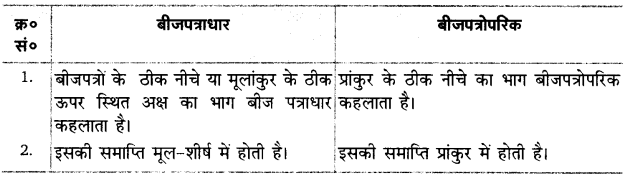 UP Board Solutions for Class 12 Biology Chapter 2 Sexual Reproduction in Flowering Plants Q.13.1