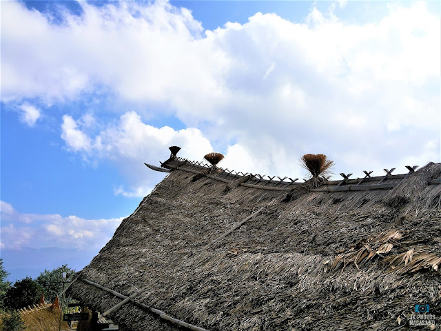 Thatch roof of Nagaland traditional house - image 4