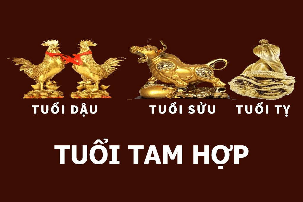 Nhóm Trí Thức: Tỵ, Dậu, Sửu