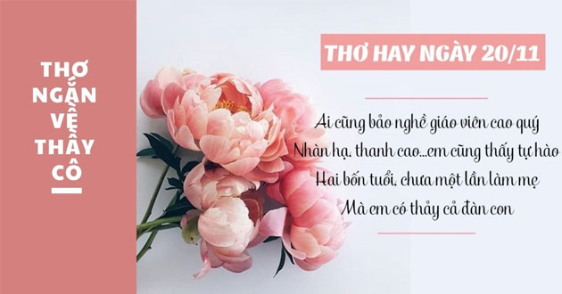 Nhung-bai-tho-hay-ve-thay-co-nhan-ngay-nha-giao-Viet-Nam-20.11