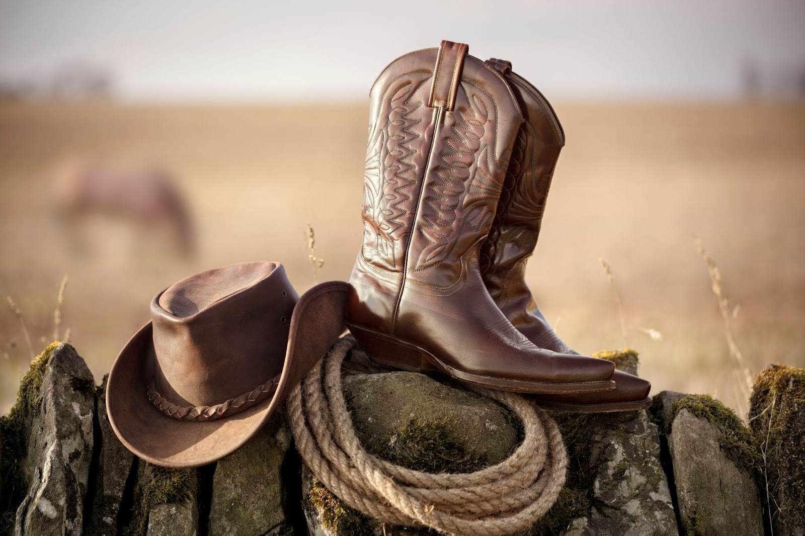 Chapéu, corda e botas em frente a uma paisagem rural desfocada.