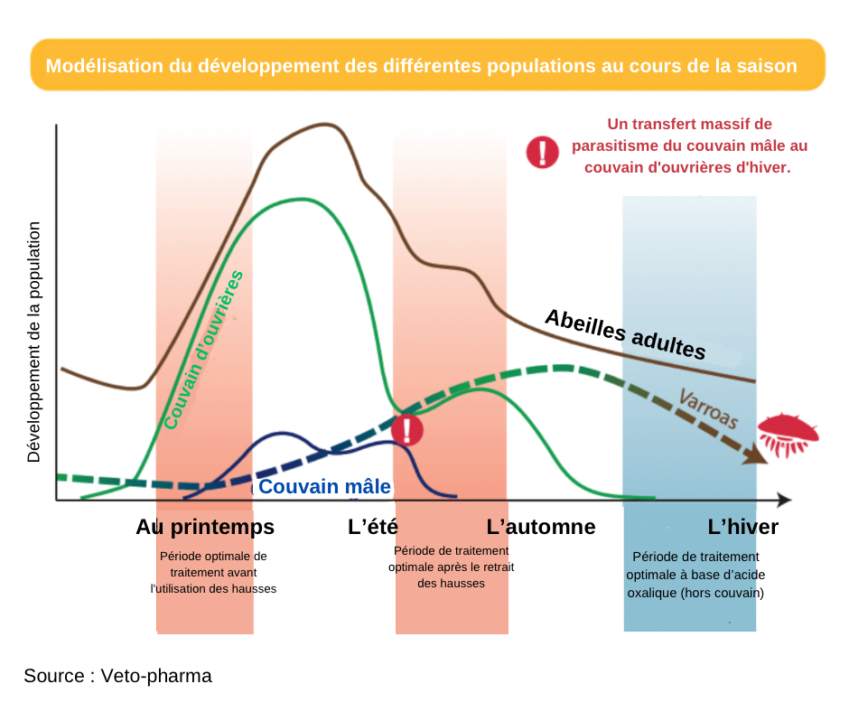 Lutte contre Varroa : Conseils Essentiels pour Protéger Vos Abeilles - Non classifié(e)