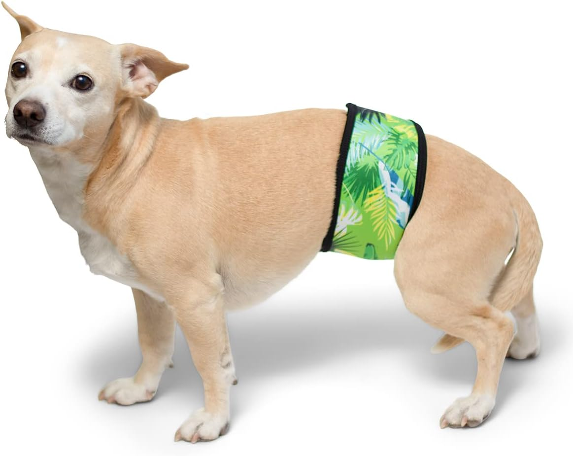 PlayaPup Male Dog Reusable/Washable Belly Bands