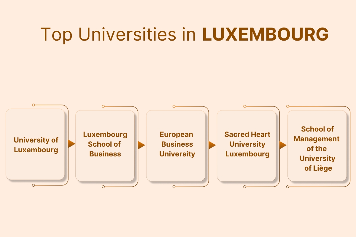 Top Universities in Luxembourg for International Students in 2024