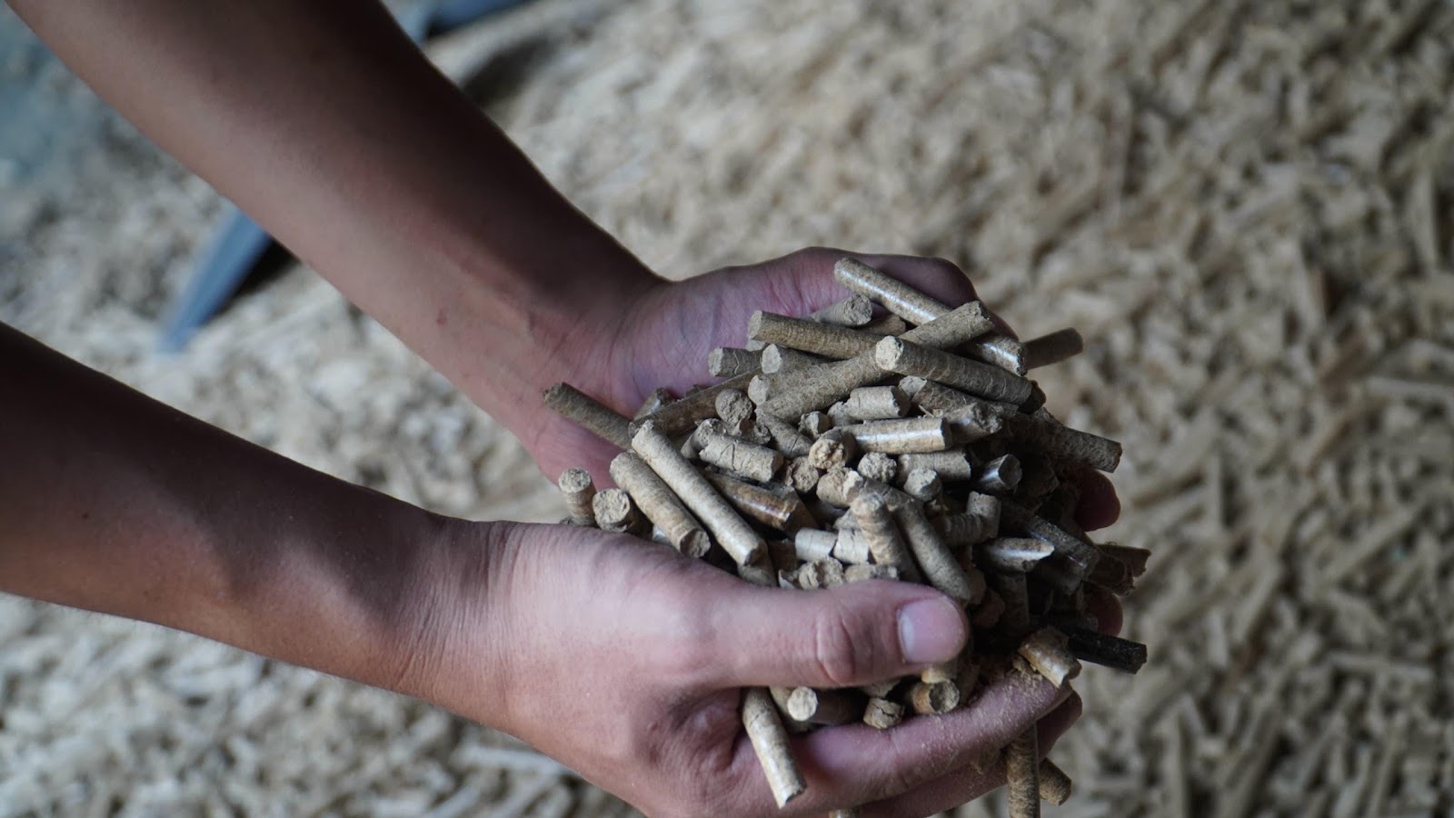 A person holding a handful of wood pellets Description automatically generated