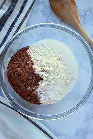 All Purpose Flour, Cocoa Powder, Baking Powder, Baking Soda, Salt in the Bowl